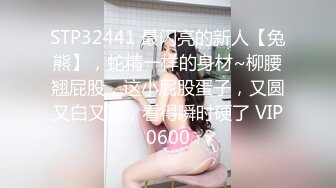 环仁子下海拍无码片