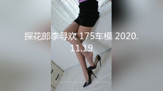 探花郎李寻欢 175车模 2020.11.19