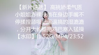 上千部欧美片精心挑选出来的系列,女主角都很漂亮,(14)