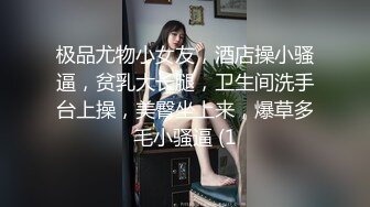 极品尤物小女友，酒店操小骚逼，贫乳大长腿，卫生间洗手台上操，美臀坐上来，爆草多毛小骚逼 (1