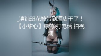 极品高颜值女神【阿黎】超透明性感黑暗空姐+全裸情欲系居家女友