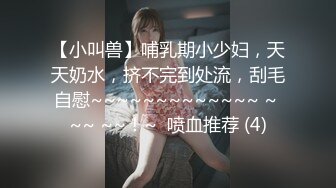 后入乘务长肥臀