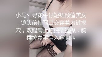 小马丶寻花牛仔短裙颜值美女，镜头前特写口交穿着内裤摸穴，双腿肩上扛抽插猛操，骑乘拉着手后入啊啊叫