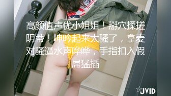 【自整理】超级BBW重型虎式坦克，堂里的老司机们，快过来试试手感如何！【NV】 (19)