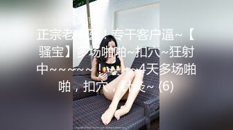 【agreeable-22】气质出众的女神道具自慰，害我射了 (2)