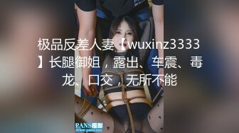 极品反差人妻【wuxinz3333】长腿御姐，露出、车震、毒龙、口交，无所不能