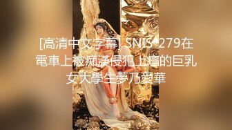 [高清中文字幕] SNIS-279在電車上被痴漢侵犯上癮的巨乳女大學生夢乃愛華