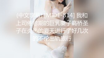 妻的外遇日记-趁老公出差约网友