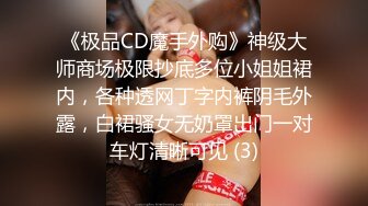 《极品CD魔手外购》神级大师商场极限抄底多位小姐姐裙内，各种透网丁字内裤阴毛外露，白裙骚女无奶罩出门一对车灯清晰可见 (3)