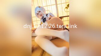 dnj.17.12.26.tera.link