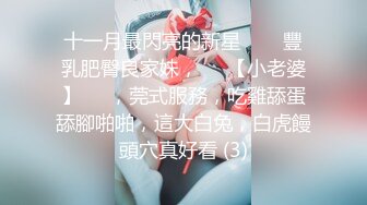 麻豆傳媒 Pussy Hunter PS022 飛镖店搭訕美乳少女