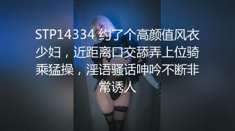 麻豆传媒-贵妇的致富秘诀 男仆干服女主获取秘诀  豪乳女神仙儿媛