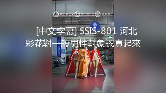    [中文字幕] SSIS-801 河北彩花對一般男性對象認真起來！