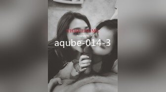 aqube-014-3