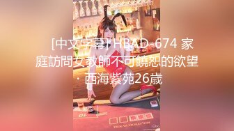    [中文字幕] HBAD-674 家庭訪問女教師不可饒恕的欲望・西海紫苑26歳