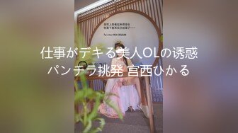 仕事がデキる美人OLの诱惑パンチラ挑発 宫西ひかる