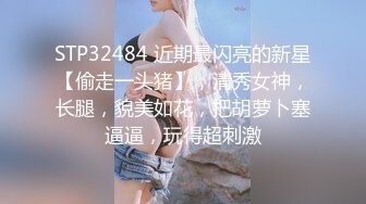 大神潜入商场女厕偷拍脚踩恨天的黑丝美女