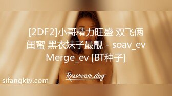 [2DF2]小哥精力旺盛 双飞俩闺蜜 黑衣妹子最靓 - soav_evMerge_ev [BT种子]