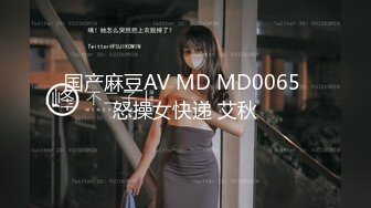 国产麻豆AV MD MD0065 怒操女快递 艾秋