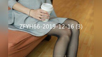 ZFYH66-2019-12-16 (3)