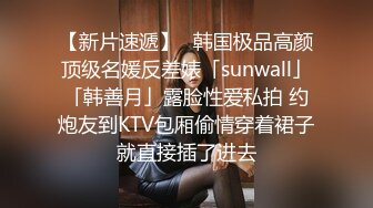 【新片速遞】✨韩国极品高颜顶级名媛反差婊「sunwall」「韩善月」露脸性爱私拍 约炮友到KTV包厢偷情穿着裙子就直接插了进去